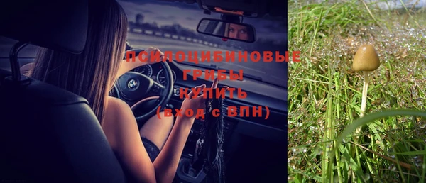 тгк Нязепетровск